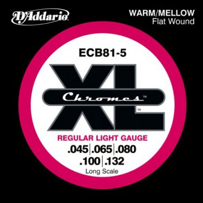 ECB81-5 Chromes Bas