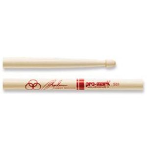 Jason Bonham SD531W