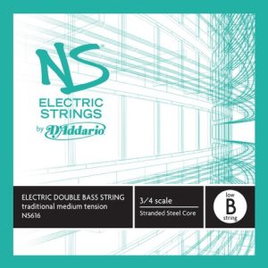 NS616 LOW B