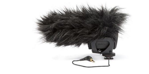 Dead Cat VMP