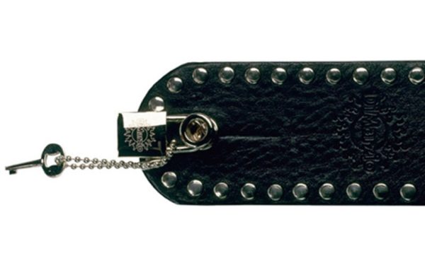 Dimarzio DD2100 Guitar Strap Lock (2)