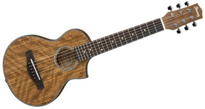 EWP14WB-OPN Piccolo