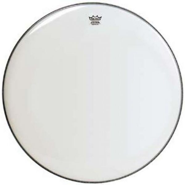Ambassador Bass, Smooth White 20"