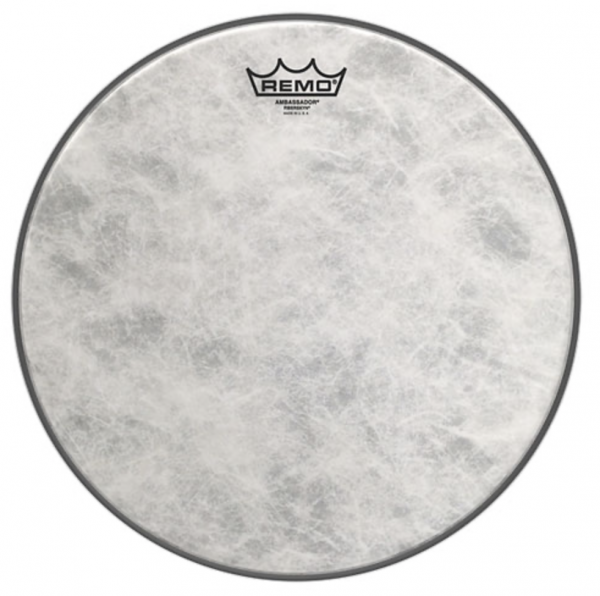 Skinn Bas Ambassador FiberSkyn 22"