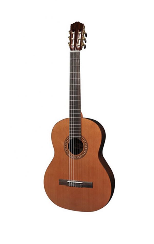 CC-32 Artist