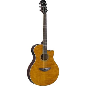APX600FM AMBER