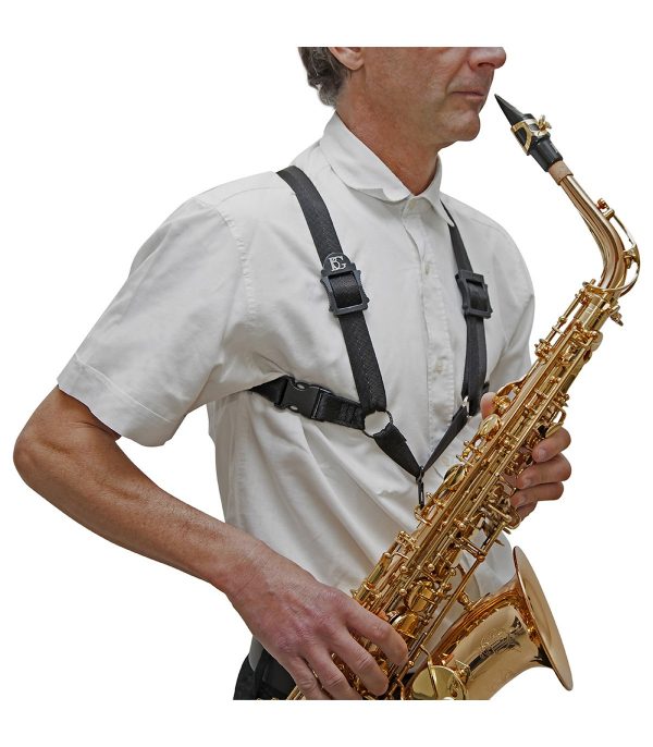 BG Franck Bichon Sele BG Saxofon S40M