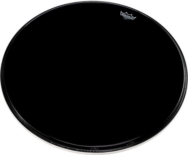 Ebony Ambassador, Bass 24"