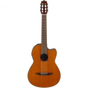 NCX1C NATURAL