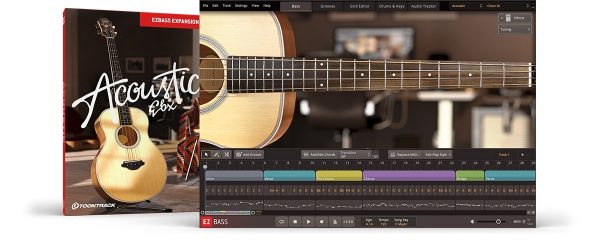 Toontrack Acoustic Bass EBX