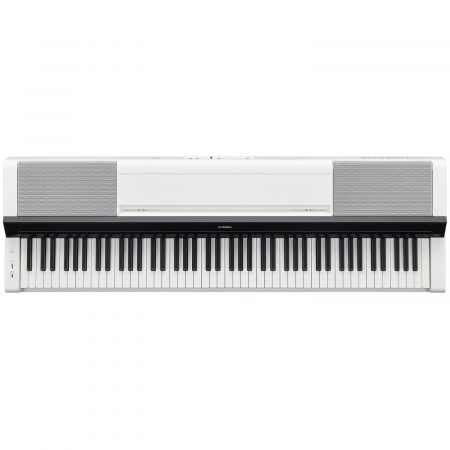 P-S500WH