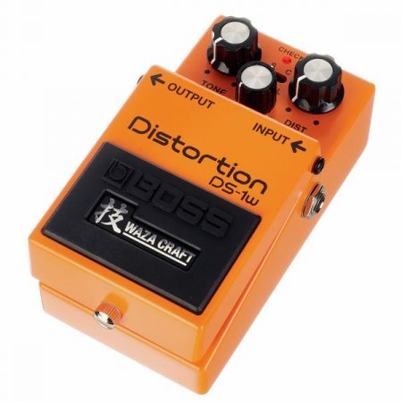 DS-1W