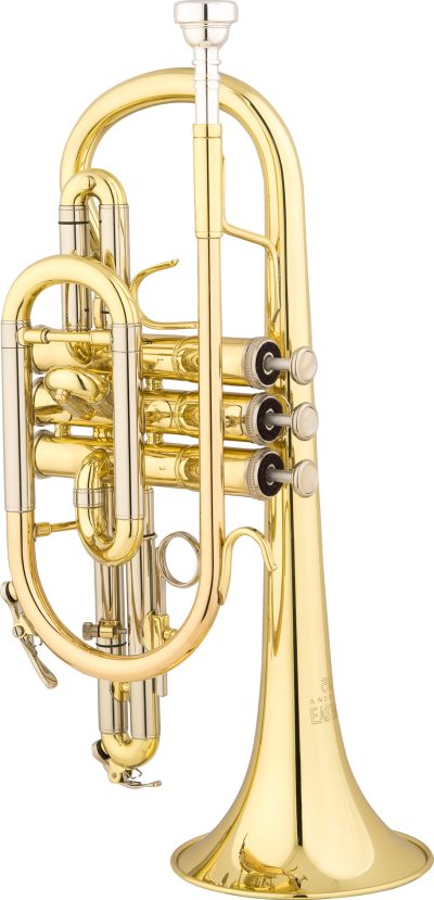 ECN225