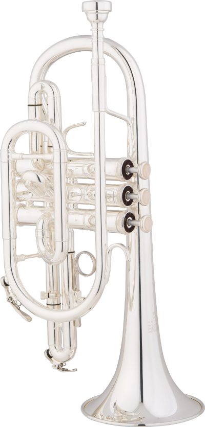 ECN225S