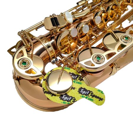 Spit Sponge Saxofon
