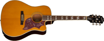Hummingbird Studio EC Natural