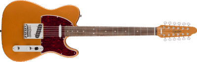 Paranormal Troy Van Leeuwen Telecaster XII Laurel Fingerboard Tortoise